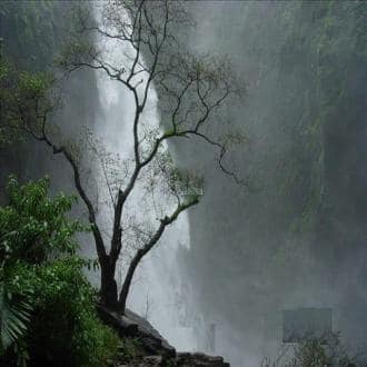Stay In A Homestay In Chikmagalur Begar post, Chikmaglur 3